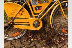 Rüsselsheim bis 2035 klimaneutral? Zusammen schaffen wir das!
